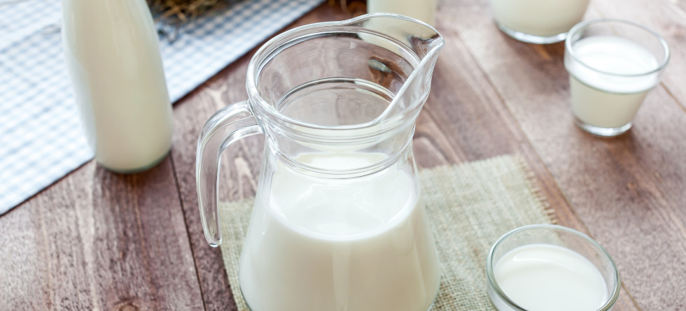 Milch in einer Kanne und mehrere Gläser gefüllt mit Milch.