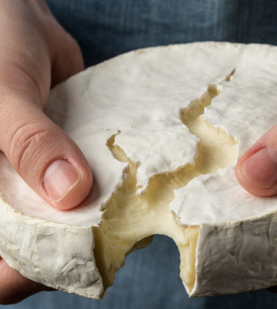 Person hält Käse in den Händen.