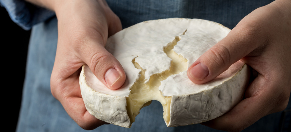 Person hält Käse in den Händen.