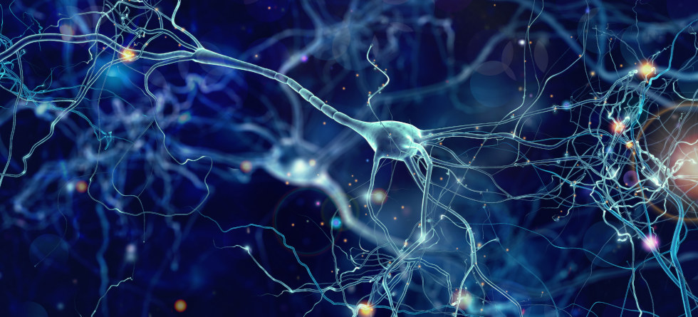 Konzeptionelle Darstellung von Neuronenzellen