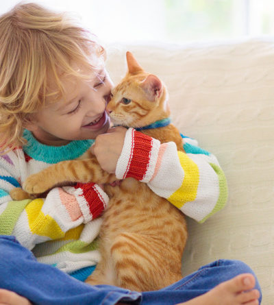 Ein Kind hält eine Katze im Arm.