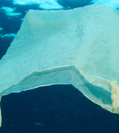 Plastik-Mülltüte im Meer