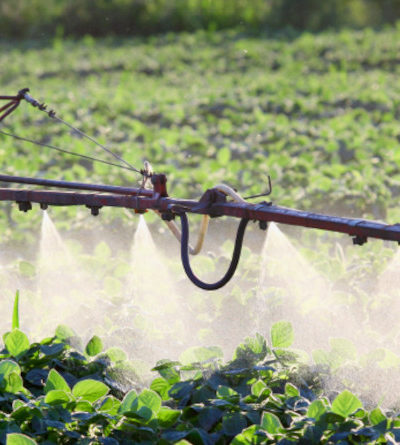 Landwirtschaftliches Fahrzeug sprüht Pestizide auf einem Feld.