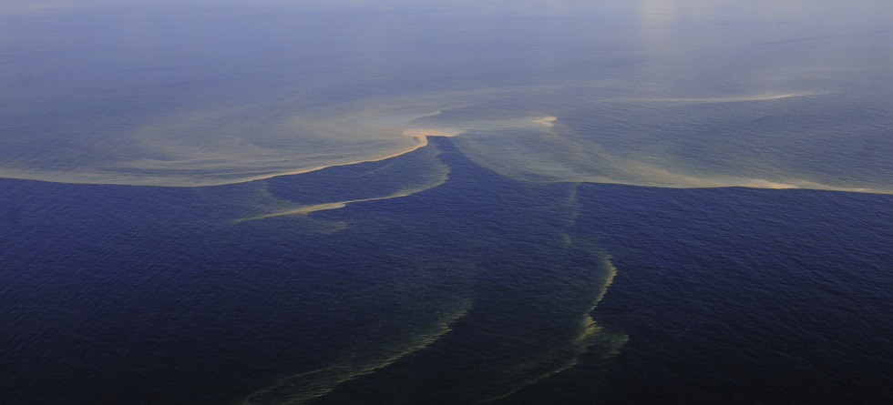Ölpest im Golf von Mexiko