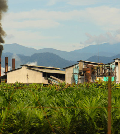 Palmöl-Plantage und Fabrik
